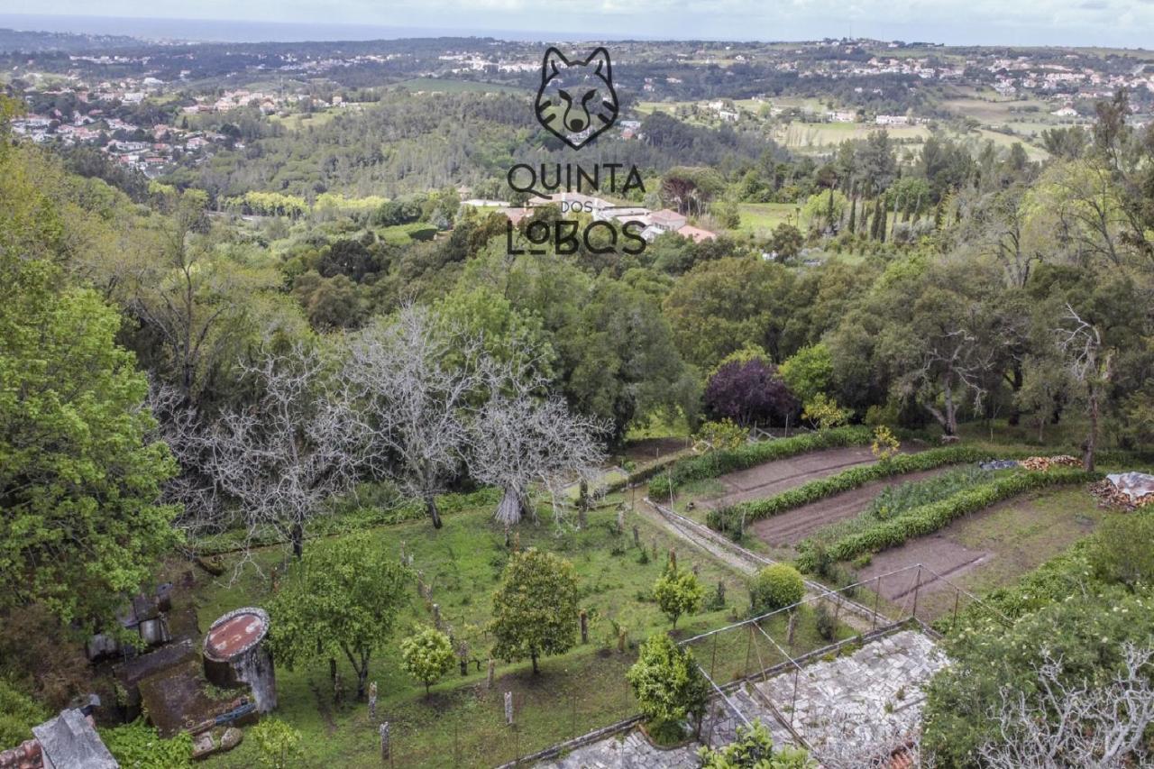 Quinta Dos Lobos Boutique Hotel - Nature Experience Синтра Экстерьер фото