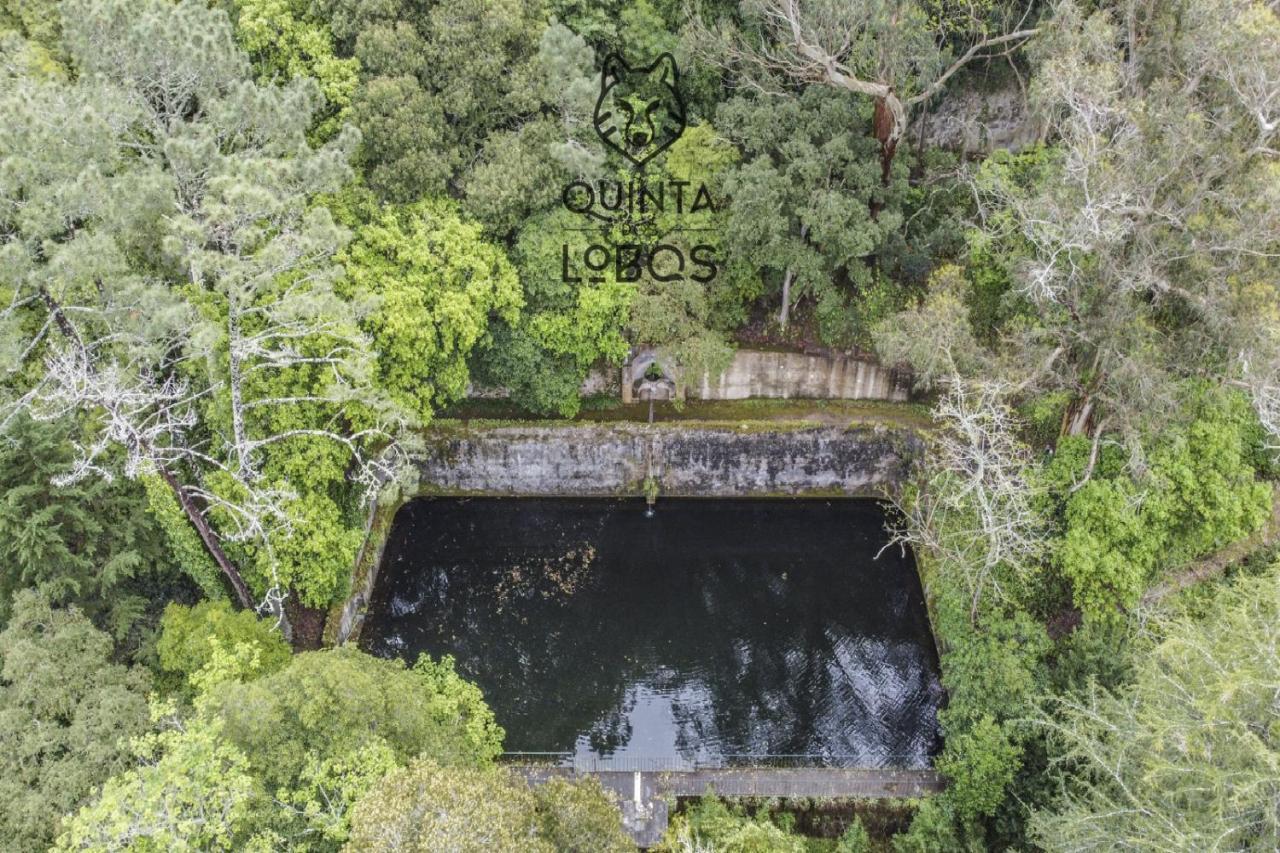 Quinta Dos Lobos Boutique Hotel - Nature Experience Синтра Экстерьер фото