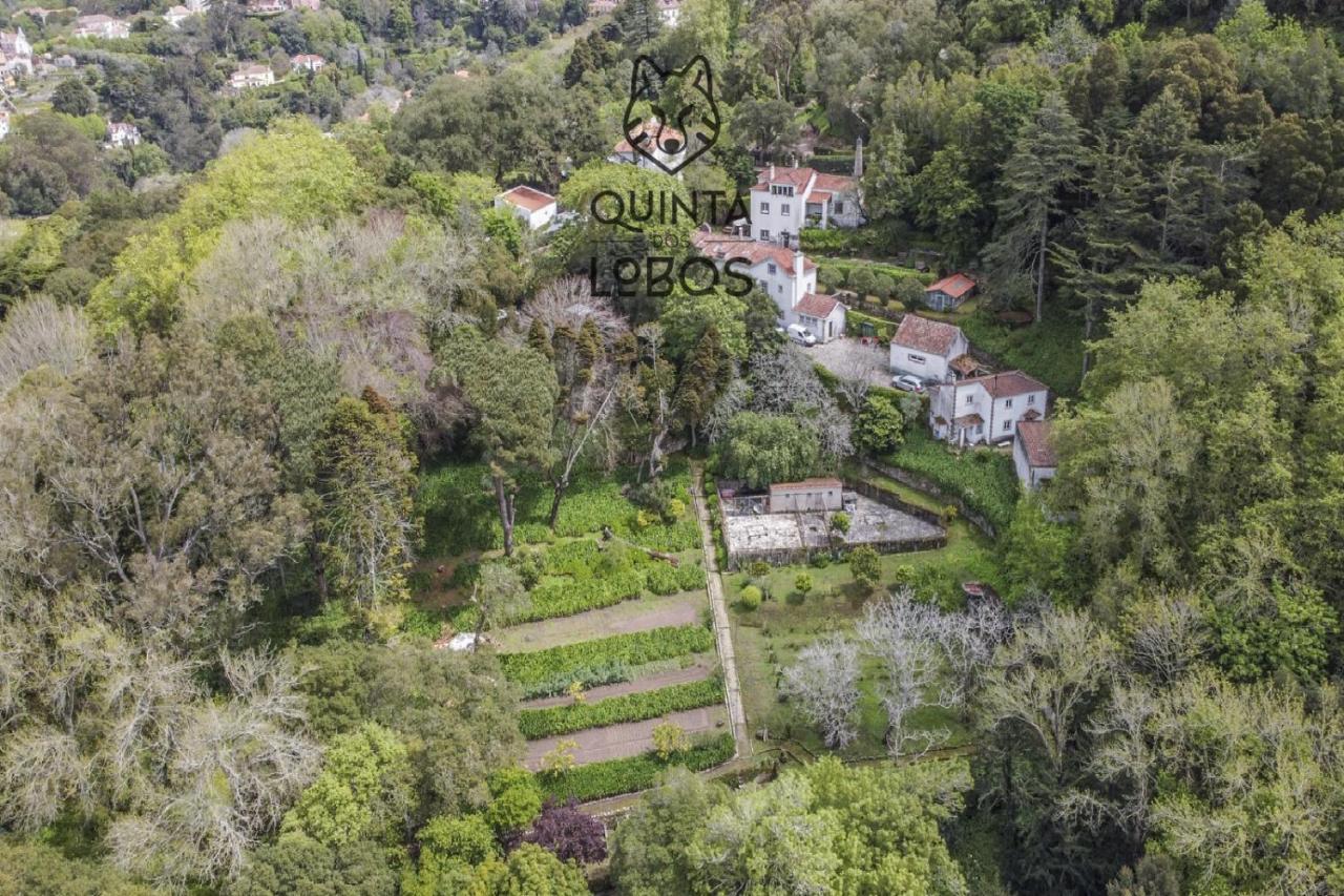 Quinta Dos Lobos Boutique Hotel - Nature Experience Синтра Экстерьер фото