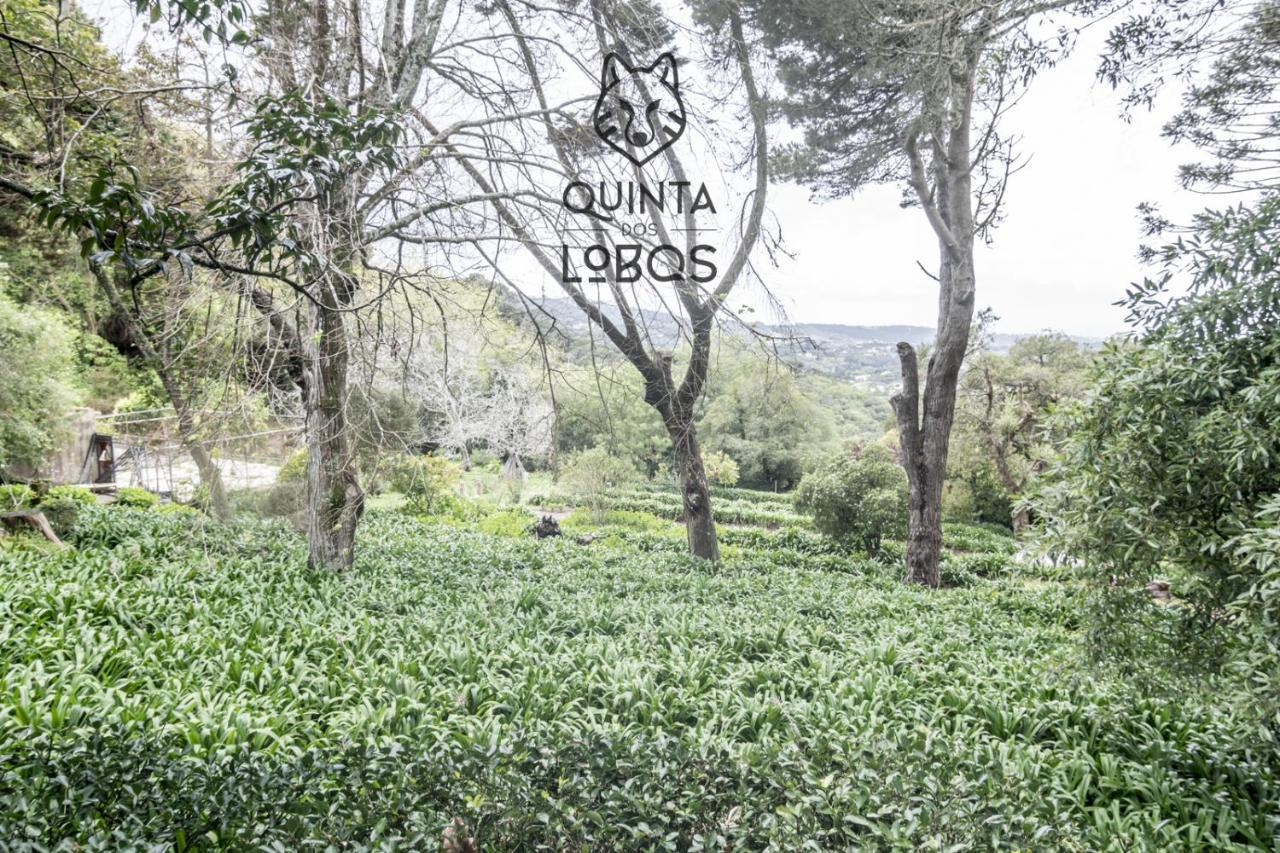 Quinta Dos Lobos Boutique Hotel - Nature Experience Синтра Экстерьер фото